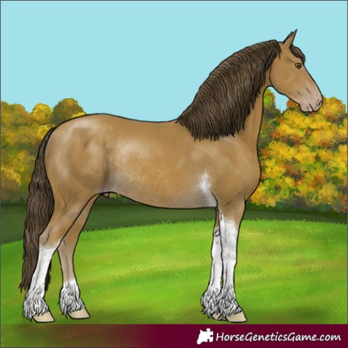 Horse Color:Classic Cream Champagne Tobiano Rabicano 