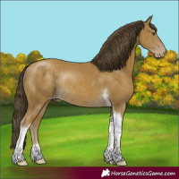 Horse Color:Classic Cream Champagne Tobiano Rabicano 