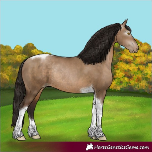 Horse Color:Gray Brown Pearl Dun Tobiano Rabicano