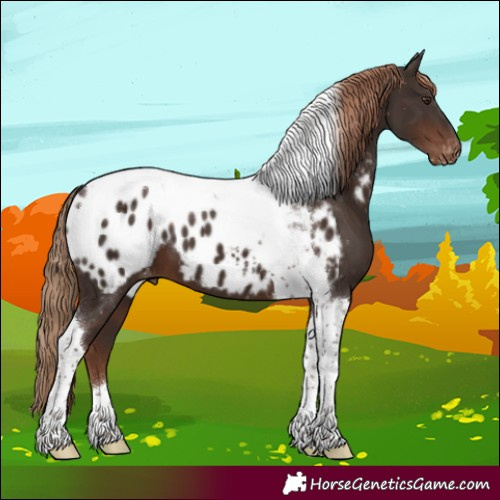 Horse Color:Liver Chestnut Tobiano Blanket 