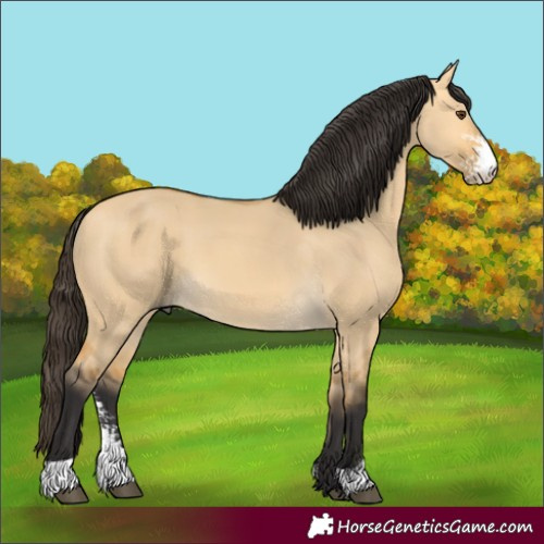 Horse Color:Buckskin Dun Sabino 