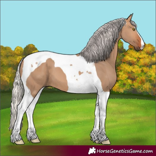 Horse Color:Silver Bay Dun Tobiano 
