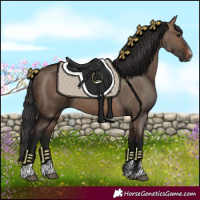 Horse Color:Brown Dun
