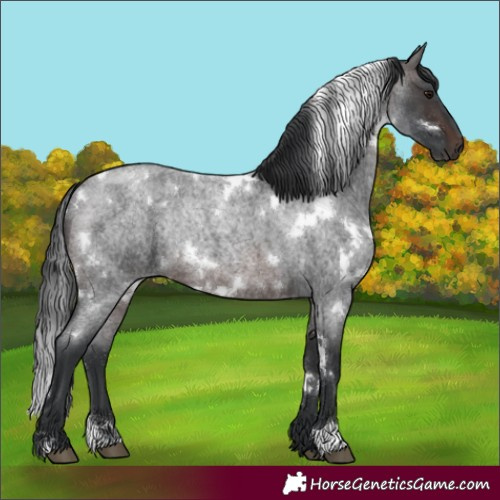 Horse Color:White Spotted Brown Roan Rabicano