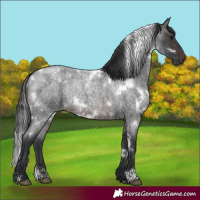 Horse Color:White Spotted Brown Roan Rabicano 