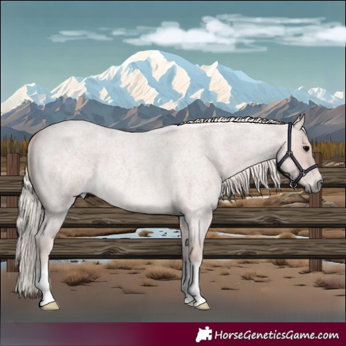 Horse Color:Silver Blue Roan 