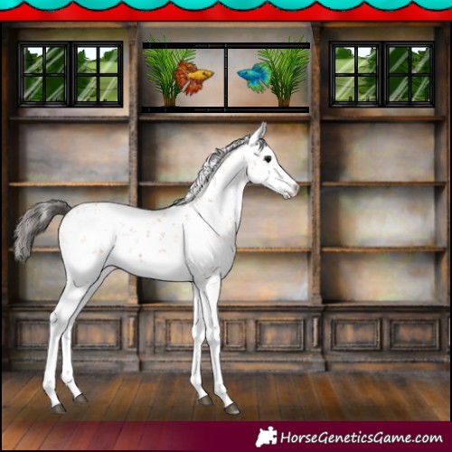 Horse Color:Bay Sabino 