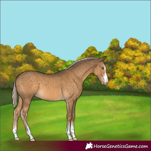 Horse Color:Chocolate Palomino