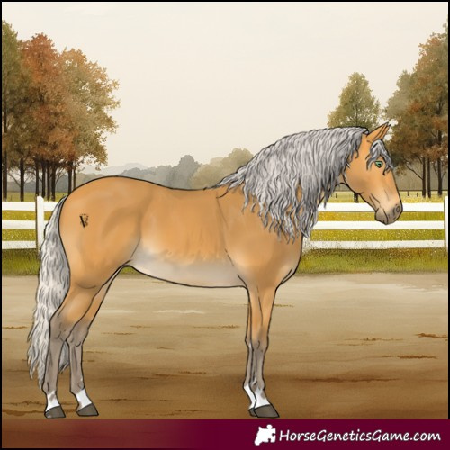 Horse Color:Silver Buckskin