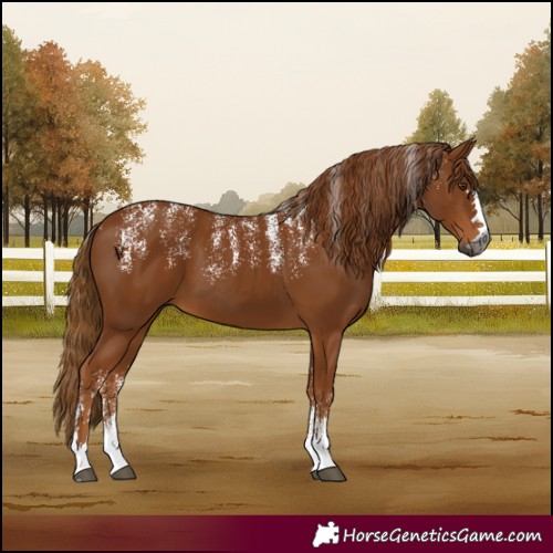 Horse Color:Powder White Gray Chestnut 