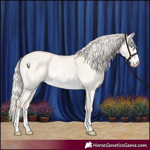 Horse Color:White Spotted Cremello Dun Sabino 