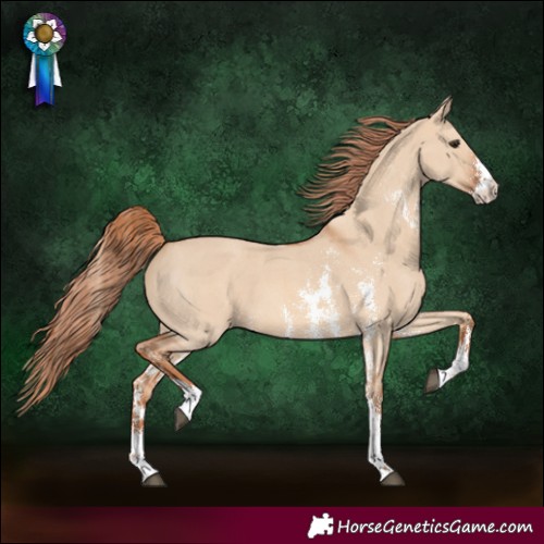 Horse Color:Red Dun Sabino
