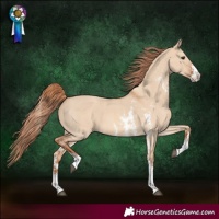 Horse Color:Red Dun Sabino 