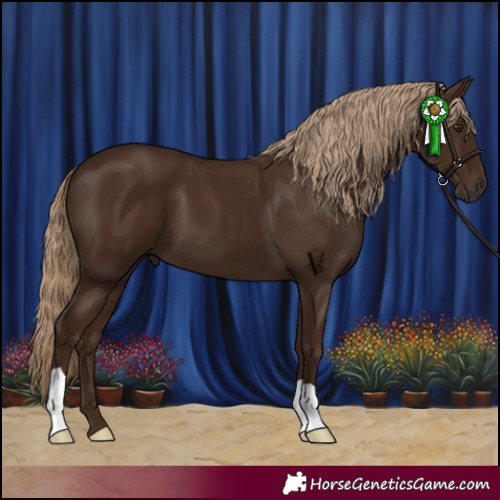 Horse Color:Liver Chestnut 