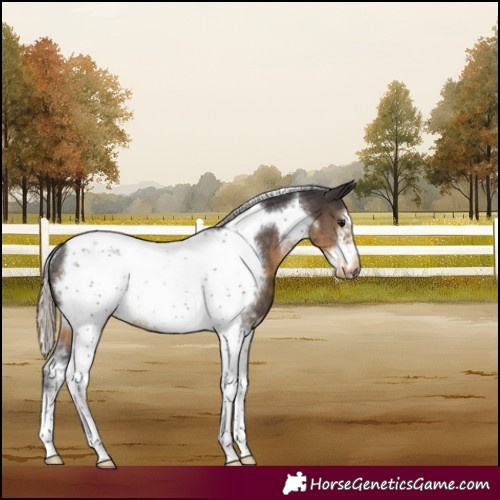 Horse Color:Silver Smoky Black Sabino Tobiano Frame Rabicano 