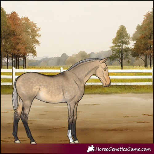 Horse Color:Silver Buckskin Dun 