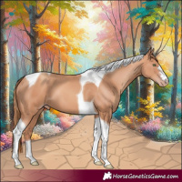 Horse Color:Gold Champagne Tobiano 