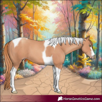Horse Color:Gold Champagne Tobiano 