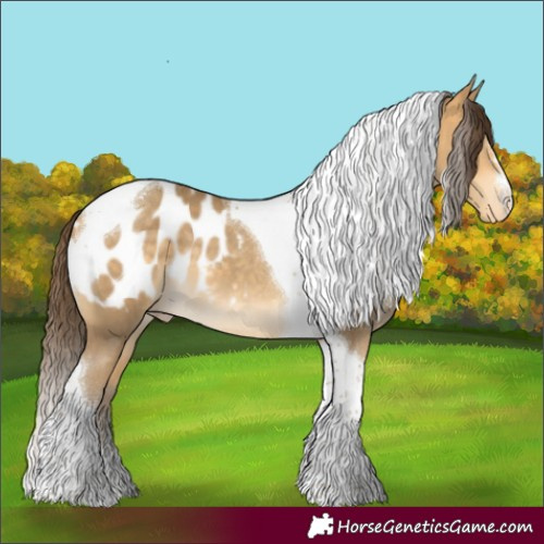Horse Color:Sable Cream Champagne Tobiano Appaloosa