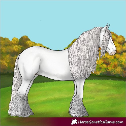 Horse Color:Perlino Dun