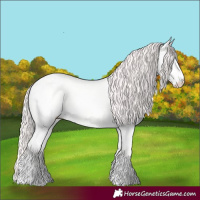 Horse Color:Perlino Dun 