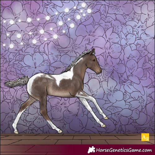 Horse Color:Silver Black Tobiano Rabicano 