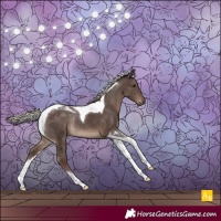 Horse Color:Silver Black Tobiano Rabicano