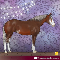Horse Color:Silver Brown Sabino