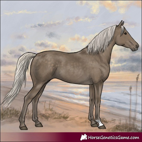 Horse Color:Silver Smoky Black 