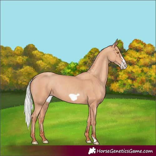 Horse Color:Silver Classic Champagne Frame 