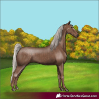 Horse Color:Silver Black 