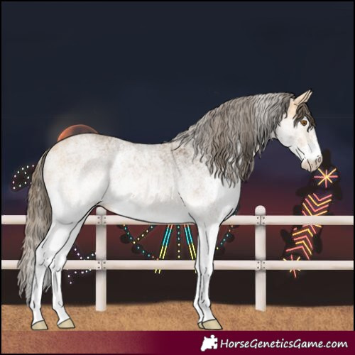 Horse Color:White Spotted Buckskin Varnish 