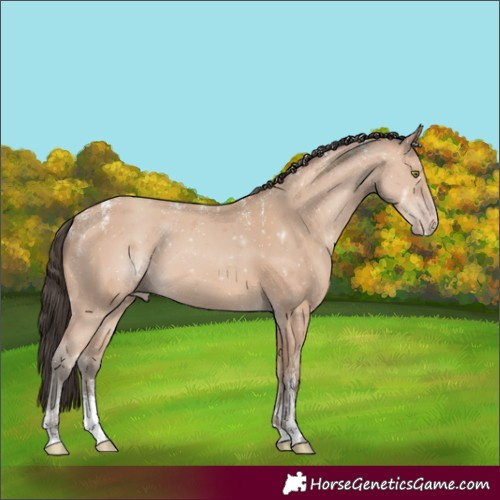 Horse Color:Powder White Amber Champagne 