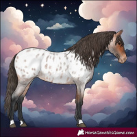 Horse Color:Bay Roan Near Leopard