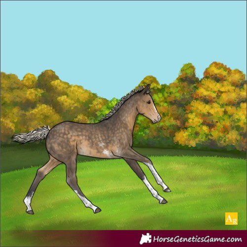 Horse Color:Silver Smoky Black Sabino Tobiano 