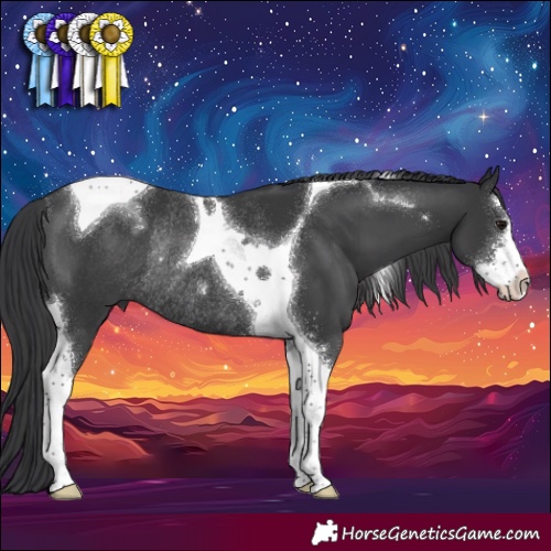 Horse Color:Black Sabino Tobiano Rabicano 