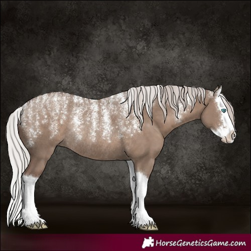 Horse Color:Powder White Silver Grullo Splash Rabicano