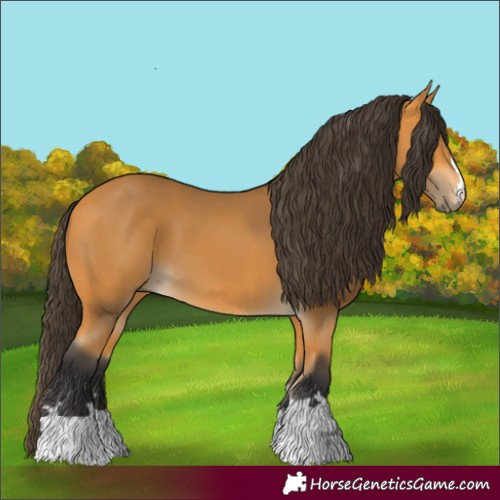 Horse Color:Unknown 