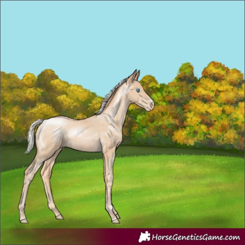 Horse Color:Silver Buckskin Pearl 