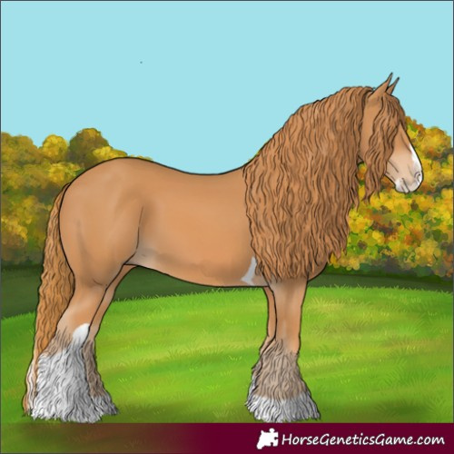 Horse Color:Chestnut Splash Tobiano 