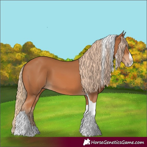 Horse Color:Chestnut Splash Tobiano