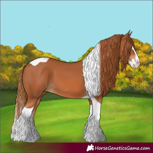 Horse Color:Chestnut Splash Tobiano 