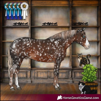 Horse Color:Powder White Liver Chestnut Splash Skewed LP Spotted 