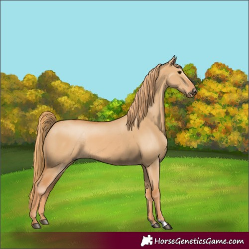 Horse Color:Red Dun 