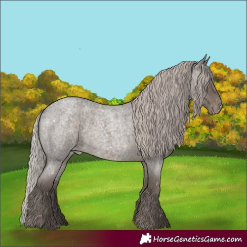 Horse Color:Silver Blue Roan Appaloosa 