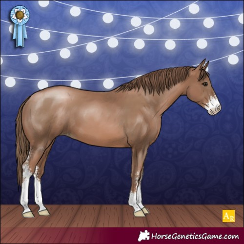 Horse Color:Black Pearl Sabino 