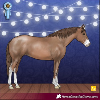 Horse Color:Black Pearl Sabino