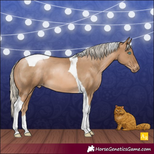 Horse Color:Chocolate Palomino Pearl Tobiano Appaloosa 