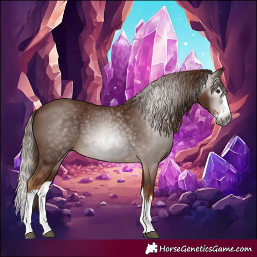 Horse Color:Gray Chestnut Splash 