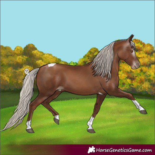 Horse Color:Gray Silver Black Pearl Tobiano 